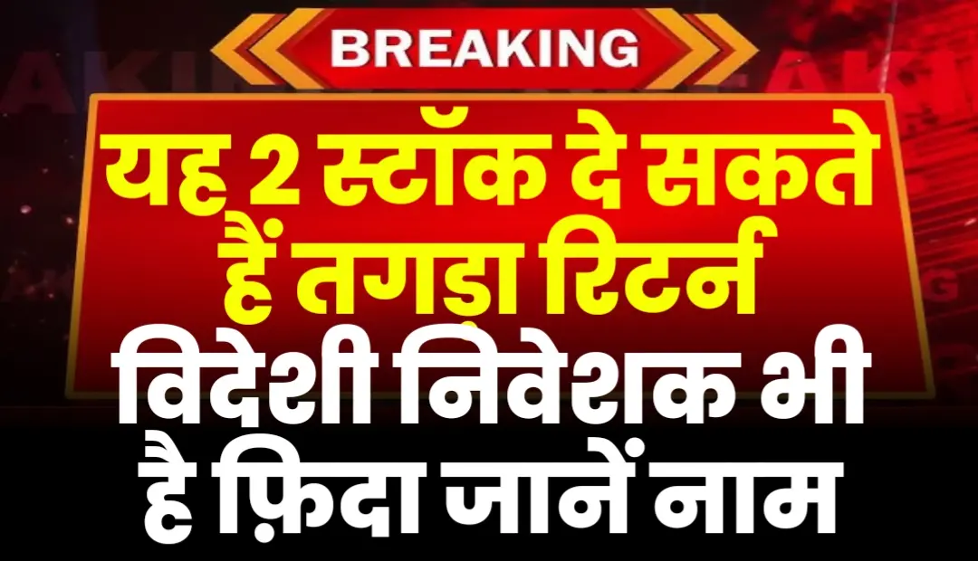 यह 2 स्टॉक दे सकते हैं तगड़ा रिटर्न विदेशी निवेशक भी है फ़िदा जानें नाम