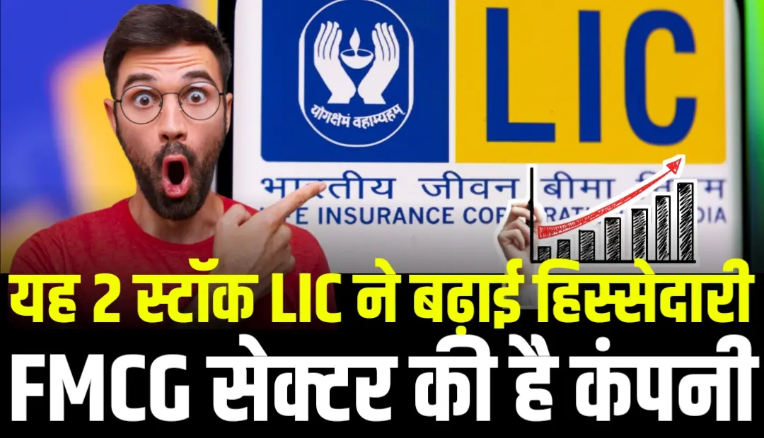 यह 2 स्टॉक्स जिनमें LIC ने बढ़ाई हिस्सेदारी, FMCG सेक्टर की है, जल्दी जाने नाम
